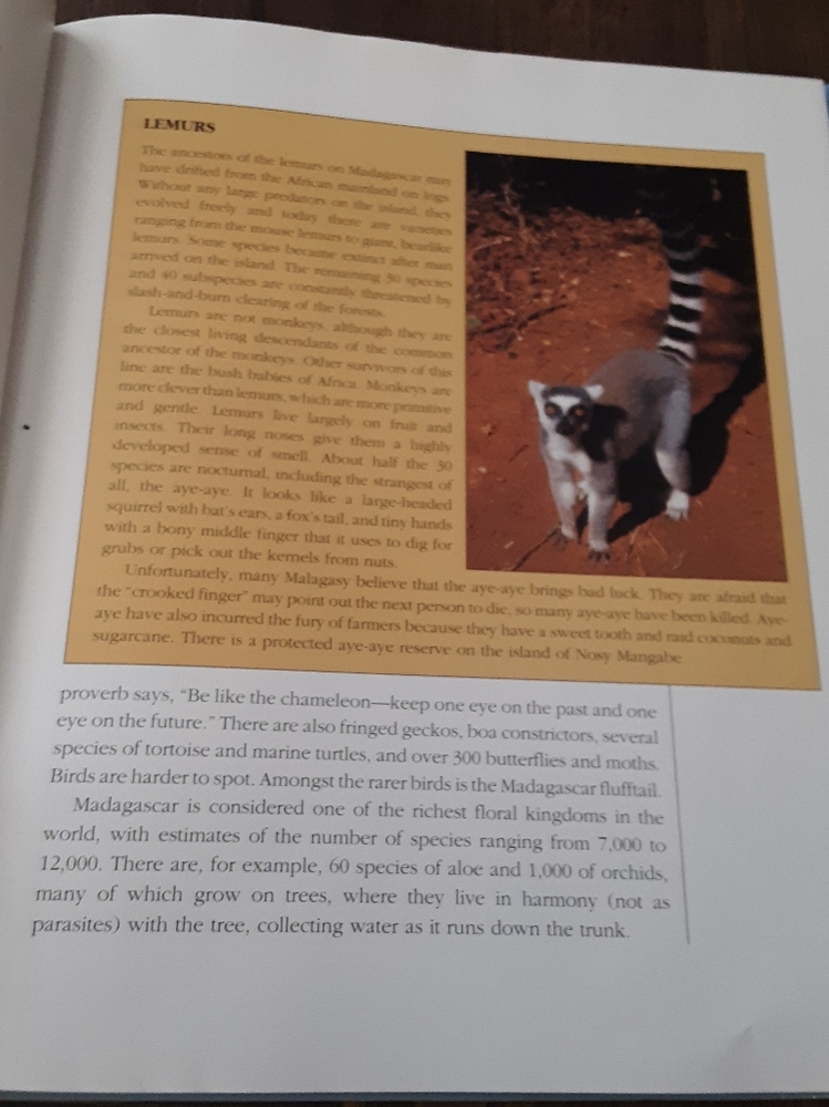 Madagascar - Picture 3 of 6